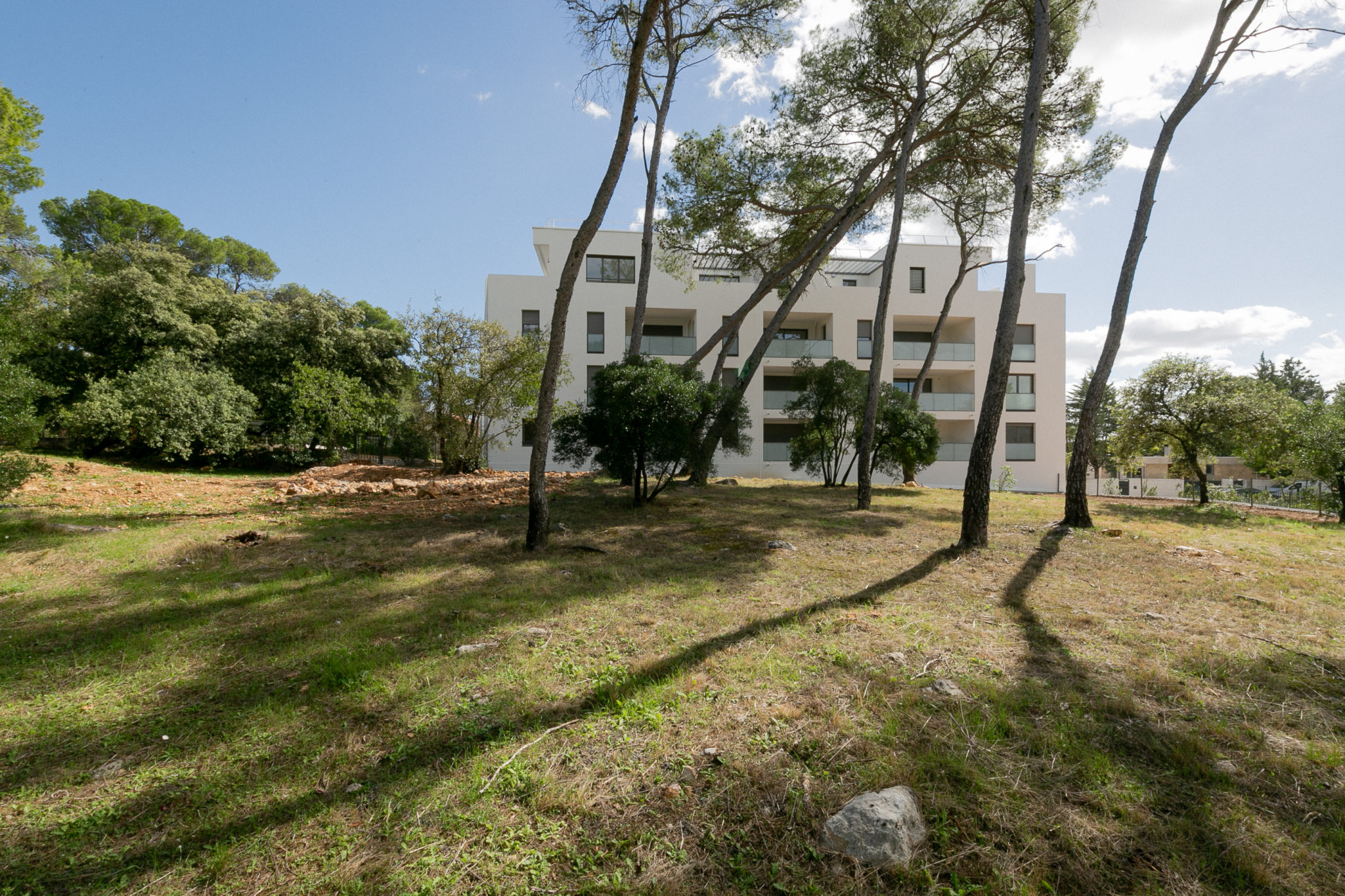Oréa - Montpellier